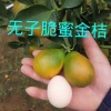 永龙果苗园的一亩田店铺