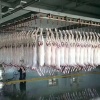 三禾联创有限公司的一亩田店铺