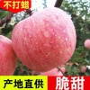 郭玉山的一亩田店铺