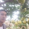 阿才水果的一亩田店铺