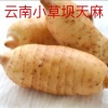 黄启银的一亩田店铺