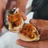 吕昭阳的一亩田店铺