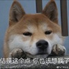 郑满权的一亩田店铺