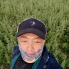 马雲山的一亩田店铺