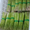 王芳的一亩田店铺