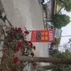 吴小红的一亩田店铺