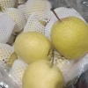 赵县盛耀果业的一亩田店铺