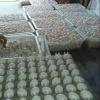 李小南的一亩田店铺