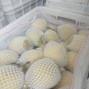 张砚法的一亩田店铺