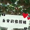 樊亮的一亩田店铺