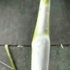 上海青浦蔬菜大户的一亩田店铺