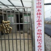 南京市周木林生态水产养殖农民专业合作社的一亩田店铺