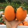 李昌明的一亩田店铺