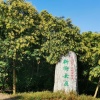 东霞苗木有限公司的一亩田店铺