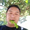 杨正福的一亩田店铺