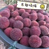 陈艳娇的一亩田店铺