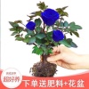 纪娟的一亩田店铺