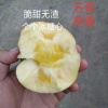 孙氏果业的一亩田店铺