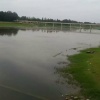 朱赵鑫河水产的一亩田店铺