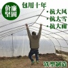 绿鼎种业有限公司的一亩田店铺