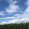 王亚航的一亩田店铺