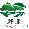 东村合作社的一亩田店铺