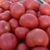爱英蔬菜批发的一亩田店铺