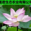 莲君生态农业有限公司的一亩田店铺