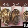 刘书平的一亩田店铺