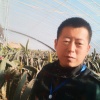 燕志刚内蒙瓜果瓜子批发的一亩田店铺