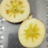 锐丰农业新疆特产的一亩田店铺