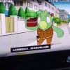 林杜柳的一亩田店铺