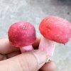 怒江辉腾再生资有限公司的一亩田店铺