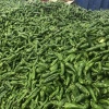 大美水果蔬菜代办的一亩田店铺