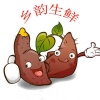 乡韵薯味的一亩田店铺
