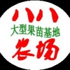 八八家庭农场的一亩田店铺