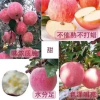 宜川县林明果业的一亩田店铺