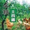 丰星星的一亩田店铺