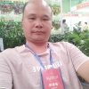 新发苗木的一亩田店铺