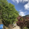 李建曹的一亩田店铺