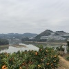 阳朔兴发园艺场的一亩田店铺