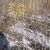 辛海勇的一亩田店铺