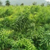 润砾农业有限公司的一亩田店铺