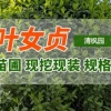 黄斌的一亩田店铺