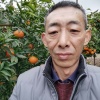 谢世君的一亩田店铺