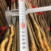 资农玄参农民专业合作社的一亩田店铺