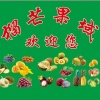 王胜东的一亩田店铺