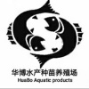 泳军水产的一亩田店铺