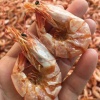 乐湾食品厂的一亩田店铺