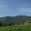 昌硕种养合作社的一亩田店铺
